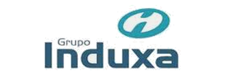 Grupo Induxa